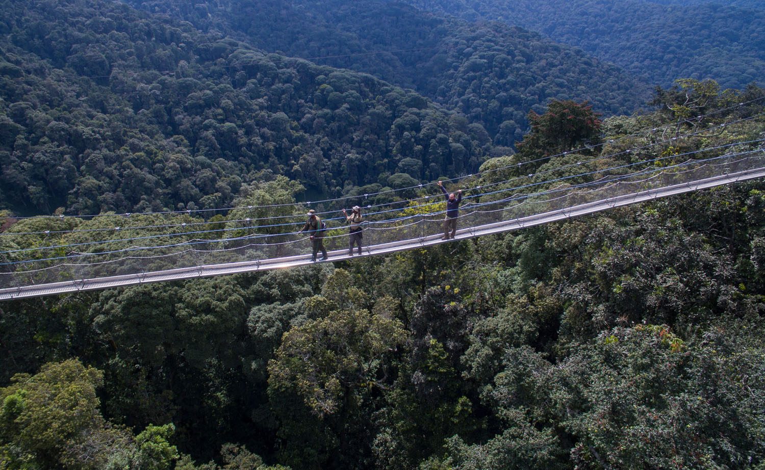 How to Get to Nyungwe Forest National Park